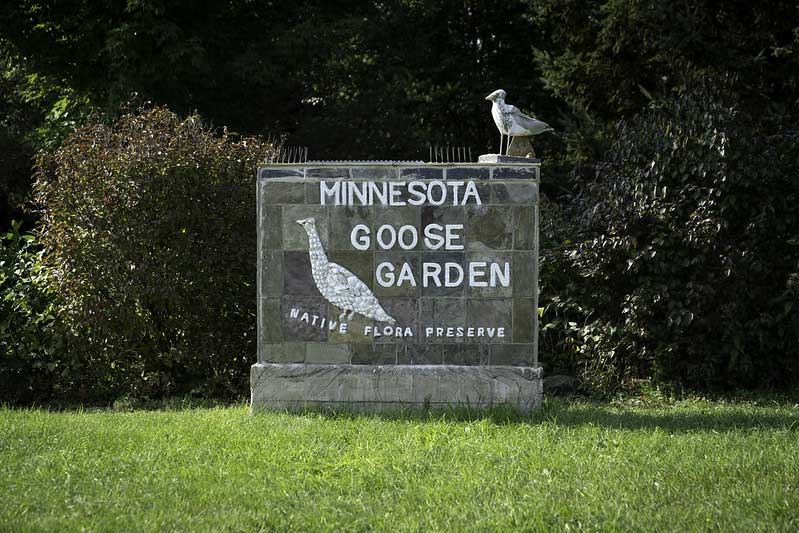 Minnesota Goose Garden