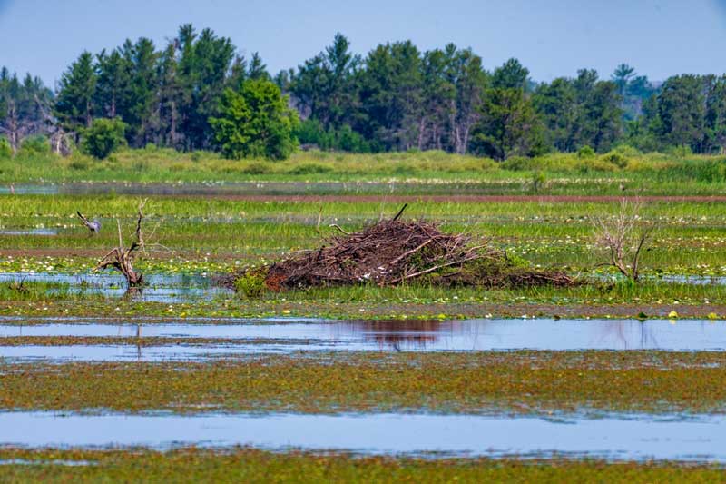 Necedah National Wildlife Refuge