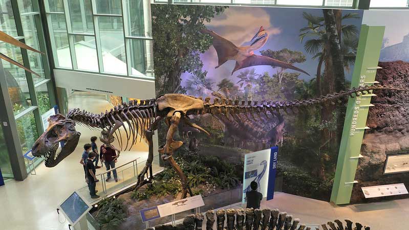 Witte Museum